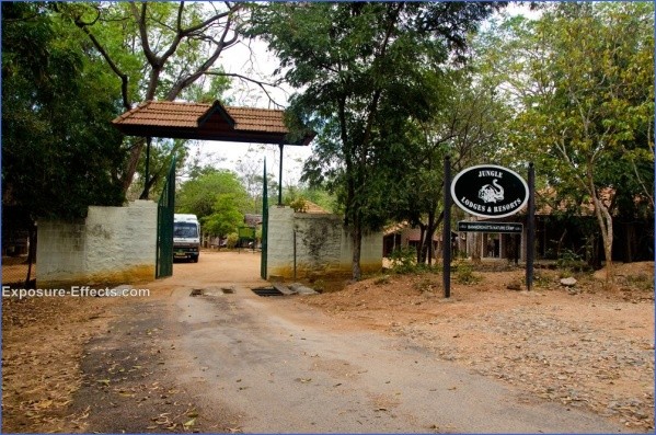 bannerghatta nature camp jungle lodges resorts review 8 Bannerghatta Nature Camp   Jungle Lodges Resorts   REVIEW