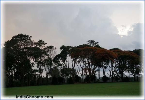 coorg tata plantation trails review world ghoomo 3 Coorg   Tata Plantation Trails   REVIEW World Ghoomo