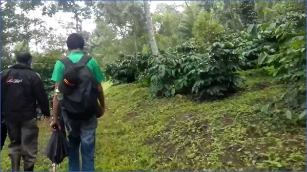 coorg tata plantation trails review world ghoomo 9 Coorg   Tata Plantation Trails   REVIEW World Ghoomo