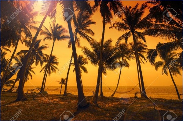 tropical paradise sunset 1 TROPICAL PARADISE SUNSET