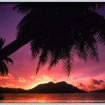 tropical paradise sunset 12 150x150 TROPICAL PARADISE SUNSET