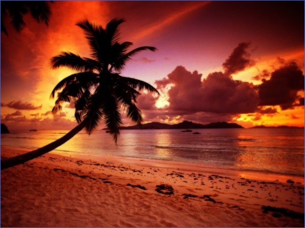 tropical paradise sunset 2 TROPICAL PARADISE SUNSET