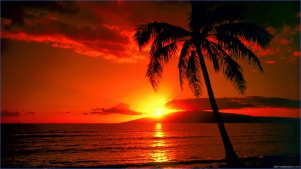 tropical paradise sunset 3 TROPICAL PARADISE SUNSET