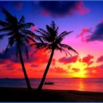 tropical paradise sunset 4 150x150 TROPICAL PARADISE SUNSET