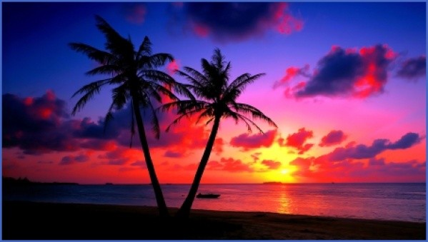 tropical paradise sunset 4 TROPICAL PARADISE SUNSET