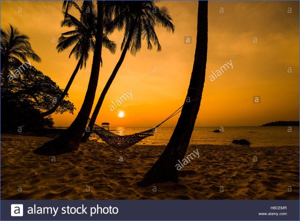 tropical paradise sunset 5 TROPICAL PARADISE SUNSET
