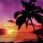tropical paradise sunset 7 150x150 TROPICAL PARADISE SUNSET