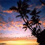 tropical paradise sunset 8 150x150 TROPICAL PARADISE SUNSET