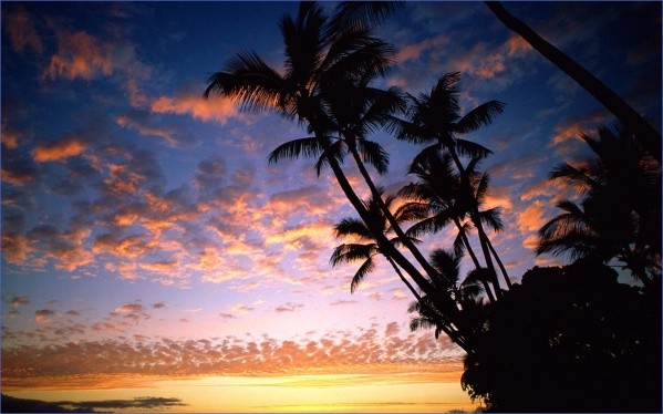 tropical paradise sunset 8 TROPICAL PARADISE SUNSET