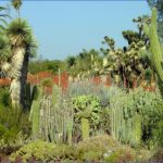 botanical gardens usa  2 150x150 BOTANICAL GARDENS USA