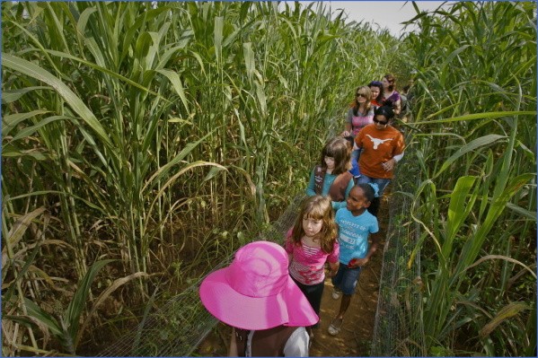 corn mazes in usa 14 Corn Mazes in USA