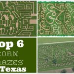 corn mazes in usa 15 150x150 Corn Mazes in USA