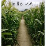 corn mazes in usa 3 150x150 Corn Mazes in USA