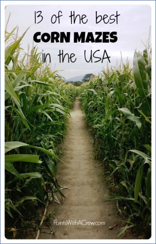corn mazes in usa 3 Corn Mazes in USA