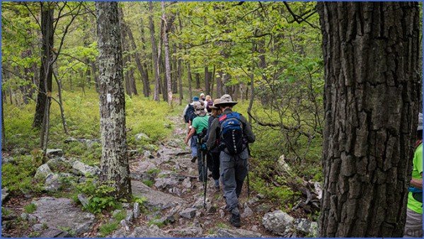 handy hints to hiking the appalachian trail 12 Handy Hints to Hiking the Appalachian Trail
