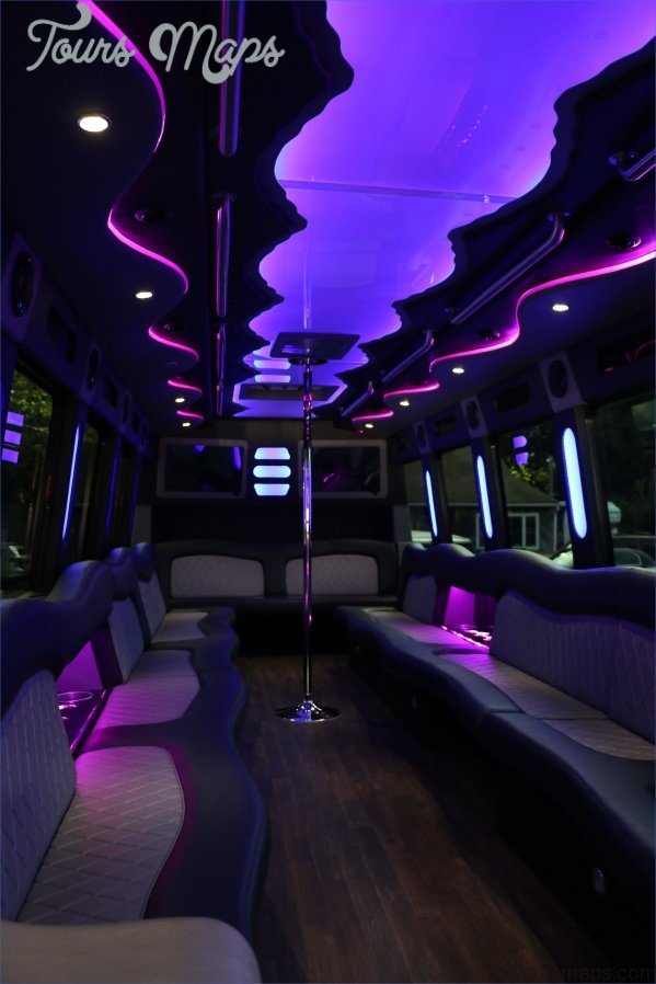 a checklist for luxury party bus limo in minneapolis mn 0 A Checklist For Luxury Party Bus Limo In Minneapolis, MN