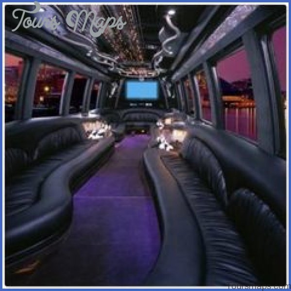 a checklist for luxury party bus limo in minneapolis mn 1 A Checklist For Luxury Party Bus Limo In Minneapolis, MN