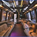 a checklist for luxury party bus limo in minneapolis mn 14 150x150 A Checklist For Luxury Party Bus Limo In Minneapolis, MN