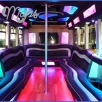 a checklist for luxury party bus limo in minneapolis mn 4 150x150 A Checklist For Luxury Party Bus Limo In Minneapolis, MN