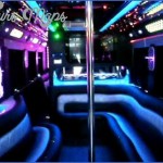 a checklist for luxury party bus limo in minneapolis mn 8 150x150 A Checklist For Luxury Party Bus Limo In Minneapolis, MN