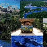 visit tulum and xel ha cancun 15 150x150 Visit Tulum and Xel Há Cancun
