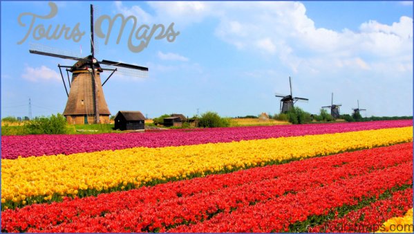 windmill and tulip day trip amsterdam 1 Windmill and Tulip Day Trip Amsterdam