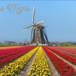 windmill and tulip day trip amsterdam 17 150x150 Windmill and Tulip Day Trip Amsterdam