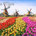 windmill and tulip day trip amsterdam 5 150x150 Windmill and Tulip Day Trip Amsterdam