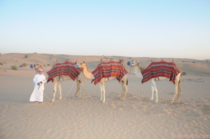 Desert Safari in Dubai Must Do Tour! (1)