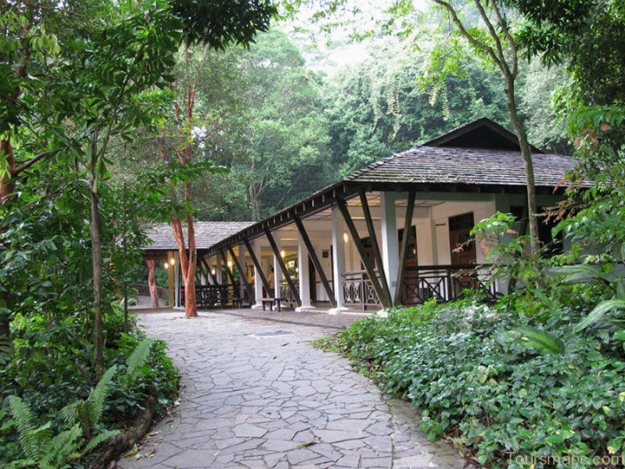 Image of expat living near to Bukit Timah Nature Reserve in Singapore
