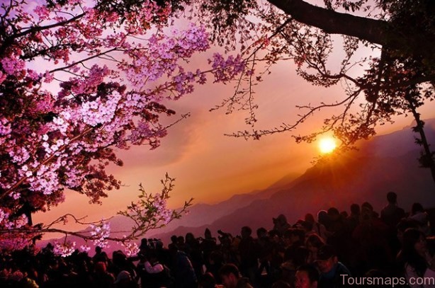 Sunrise at Alishan National Scenic Area Taiwan