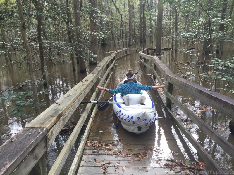 Congaree National Park video