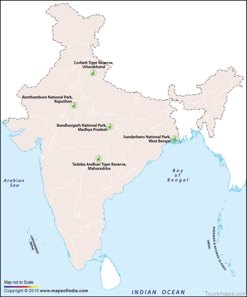 aman i khas ranthambore national park india 7