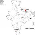 aman i khas ranthambore national park india 8