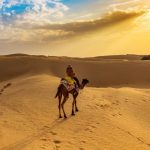 honeymoon in rajasthan travel to rajasthan