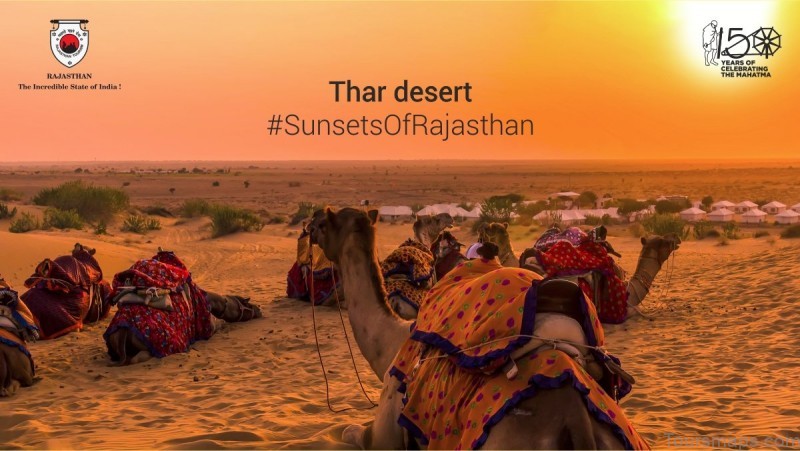 honeymoon in rajasthan travel to rajasthan 2