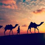 honeymoon in rajasthan travel to rajasthan 3