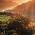 one only nyungwe house rwanda 1