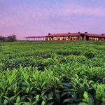 one only nyungwe house rwanda 5