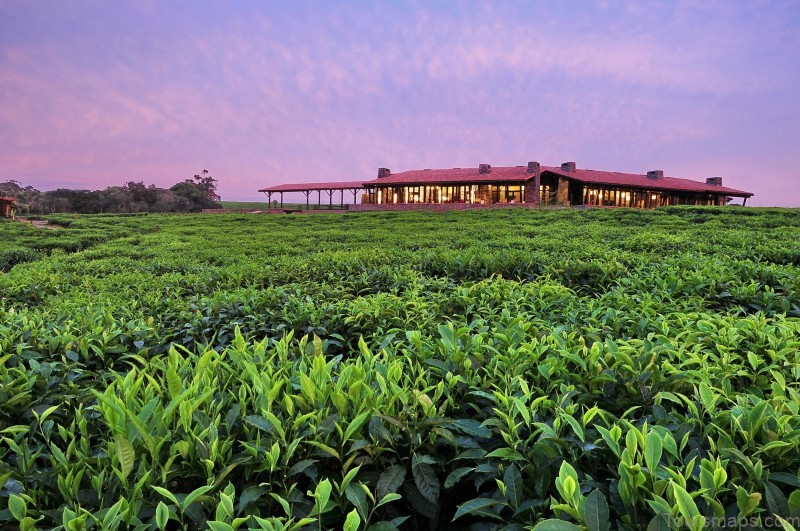 one only nyungwe house rwanda 5