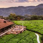 one only nyungwe house rwanda 7