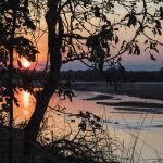 south luangwa national park 10