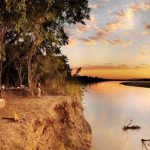 south luangwa national park
