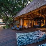 south luangwa national park 5