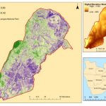 south luangwa national park 9