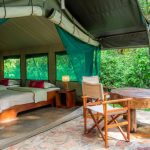 ruzizi tented lodge akagera national park rwanda 10