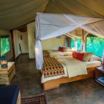 ruzizi tented lodge akagera national park rwanda 3