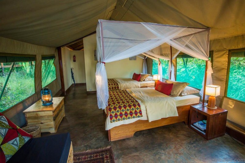 ruzizi tented lodge akagera national park rwanda 3