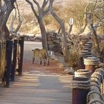 sanctuary makanyane safari lodge south africa 1