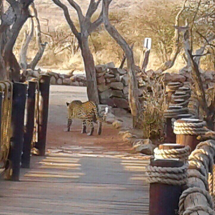%name Sanctuary Makanyane Safari Lodge SOUTH AFRICA